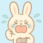 ウサさん